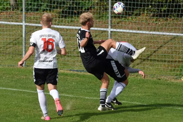 TL 26/27: Schleiz – Geratal (K. Müller)