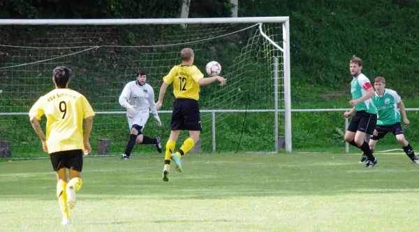 FSV Schleiz II - SG Tanna