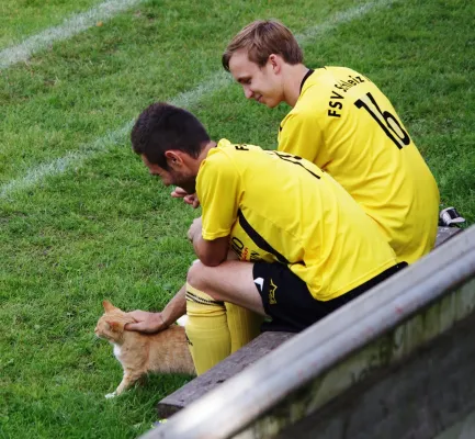 FSV Schleiz II - SG Tanna