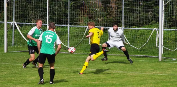 FSV Schleiz II - SG Tanna