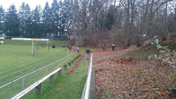 Arbeitseinsatz 19.11.2016