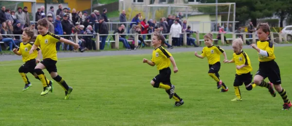 Nachholer LK (15. Spieltag): FSV - Zeulenroda