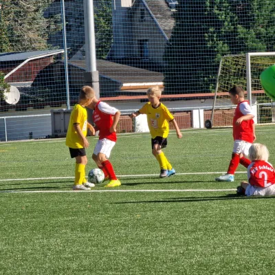 31.08.2025 FSV Schleiz vs. SV 1990 Ebersdorf