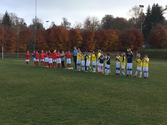 10.11.2018 FSV Schleiz vs. 1. FC Greiz