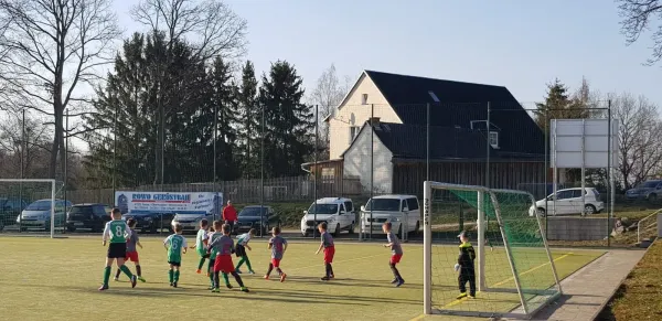 22.03.2019 SV Grün-Weiß Tanna vs. FSV Schleiz II