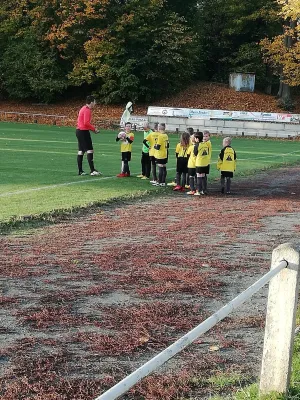 26.10.2019 FSV Schleiz vs. SV Schott Jena III